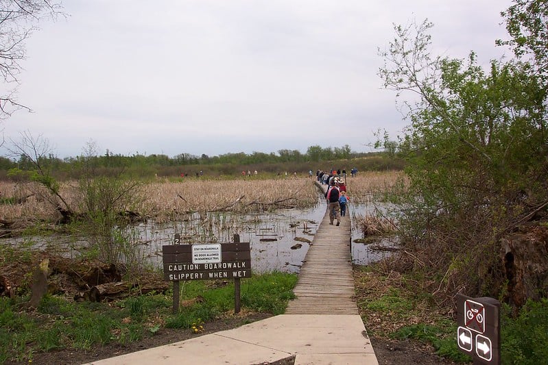 Volo Bog State Natural Area